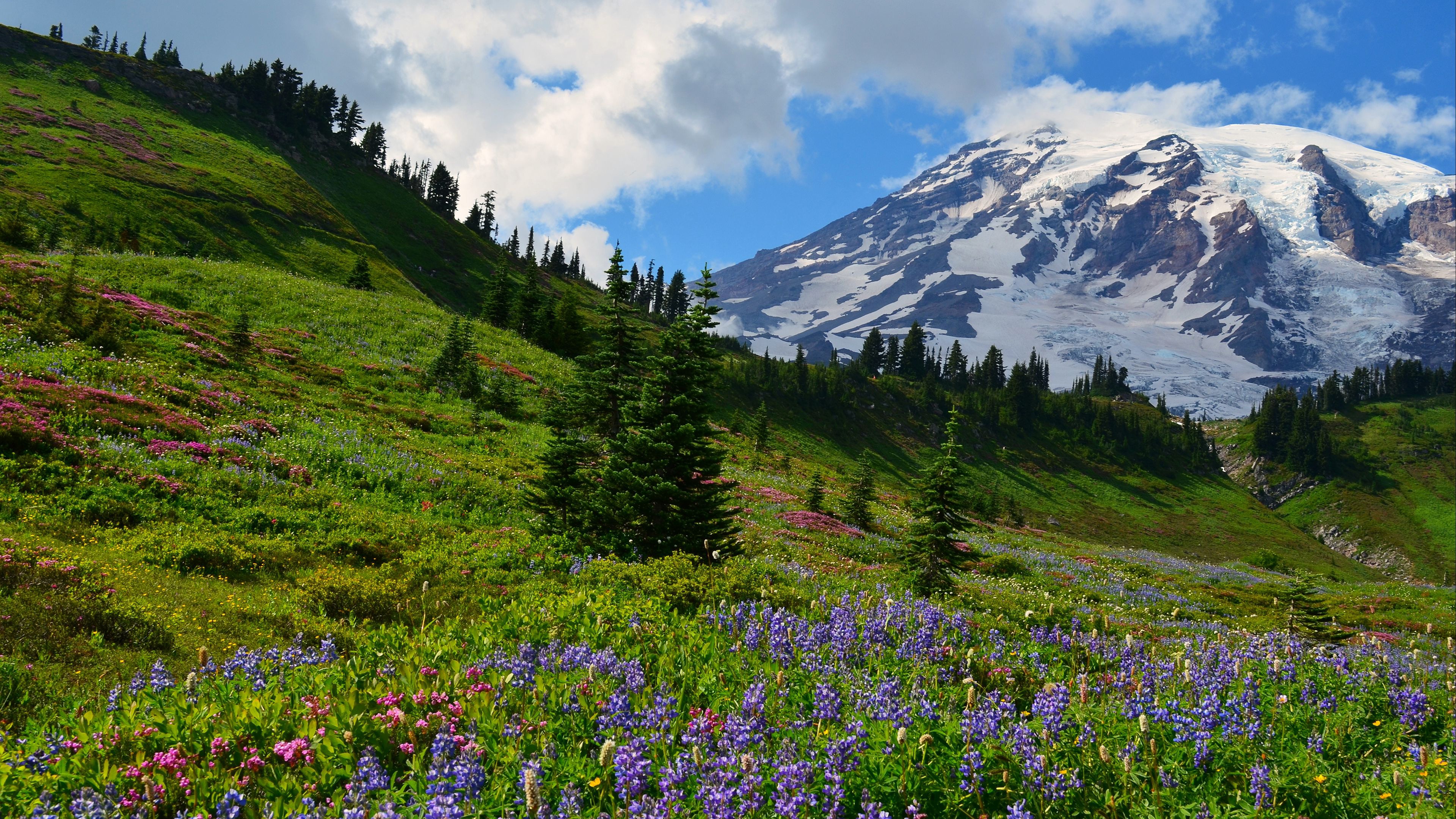 Mountain Background